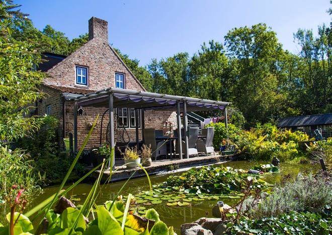 Haflingerhof De Heksenketel Image