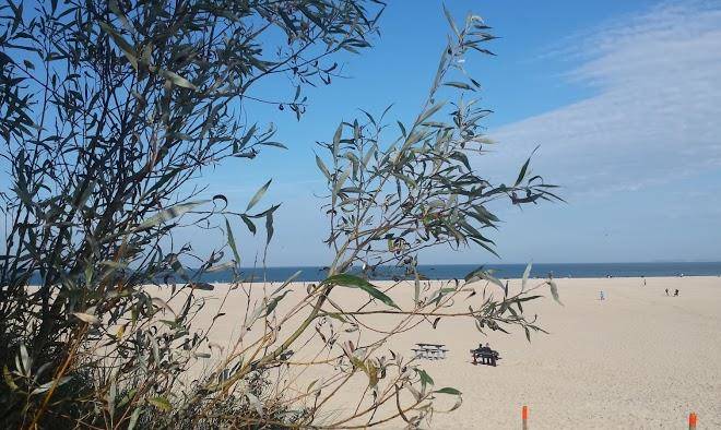 Duinoord Vastgoed B V Image