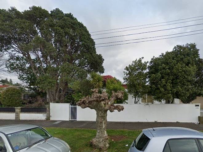 Epsom auckland centre