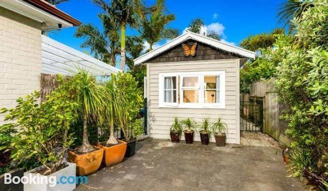 Devonport palms