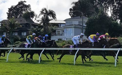 Racecourse deluxe