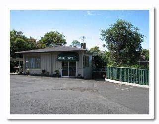 Remuera motor lodge