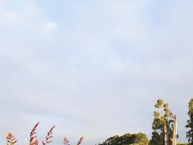 Waiheke unlimited