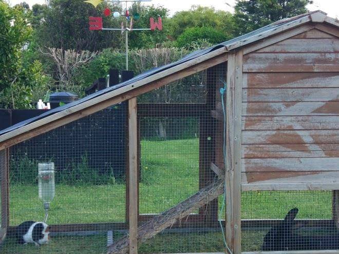Arias farm