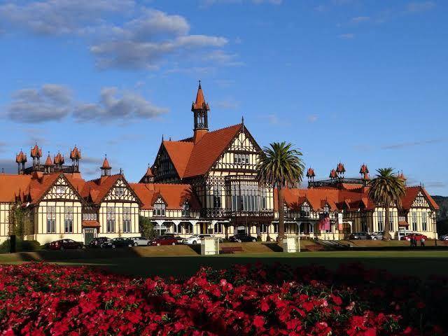 Ibis rotorua