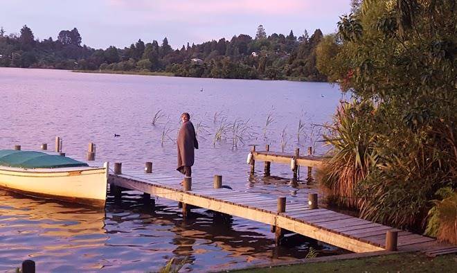 Te pohutukawa properties