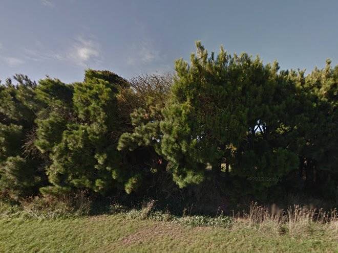 Revive On Oakview Boutique Beauty And Accomodation Image