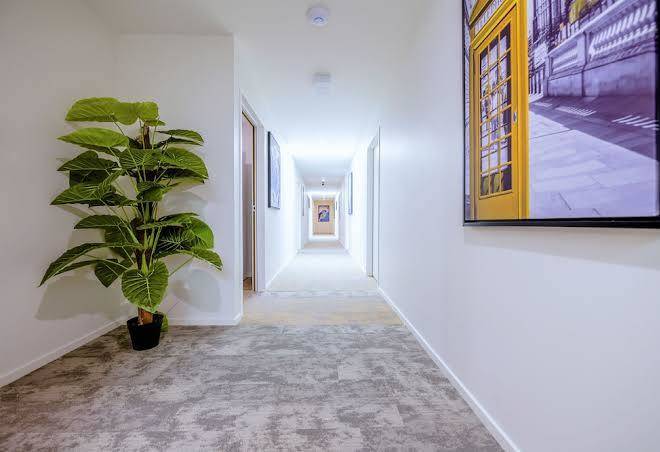 Best western alpine hotel christchurch