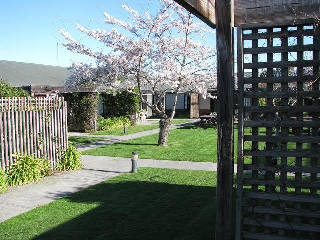 Christchurch Park Motel Image