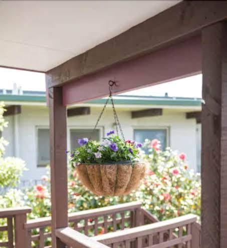 Strathern motor lodge