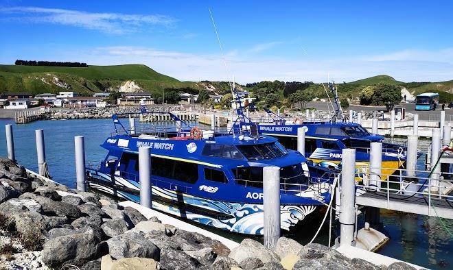 A1 kaikoura motels and holiday park