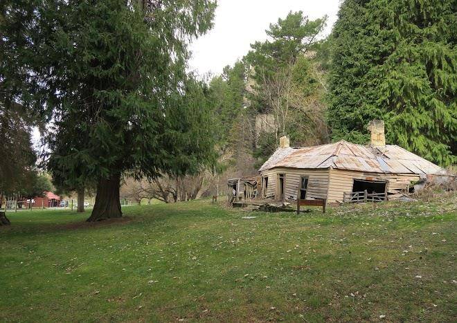 Flock hill lodge