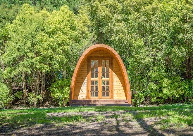 Ashley gorge kiwi holiday park