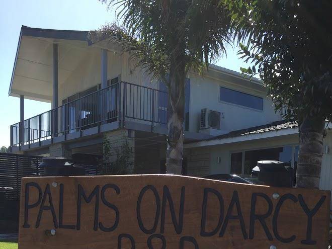 Palms on darcy