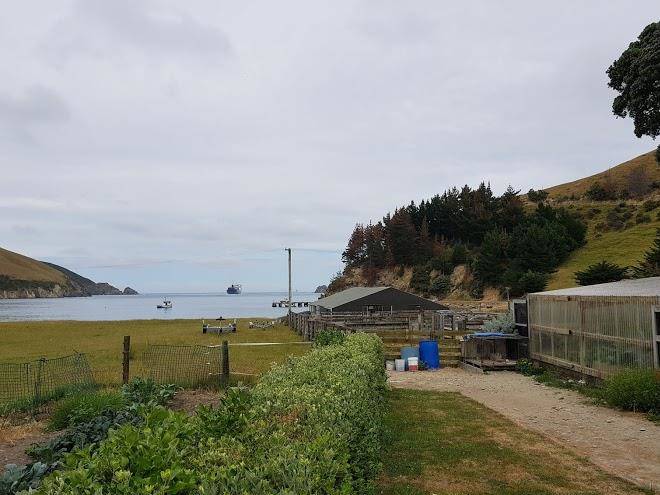 Arapawa homestead