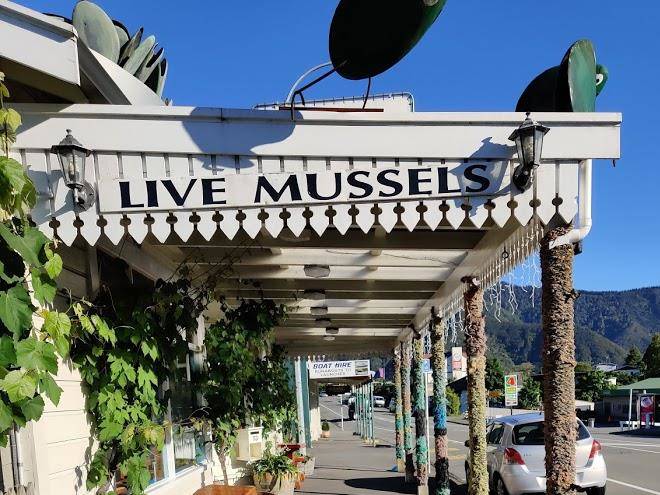 Havelock garden motel