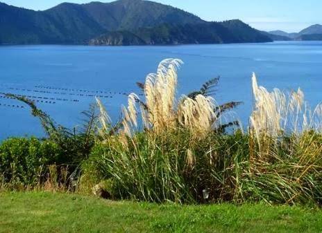 Homewood bay lodge