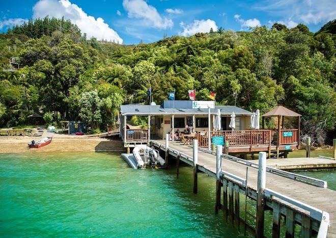 Punga cove resort