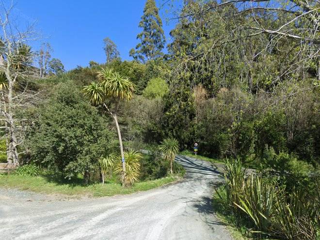 Seaview paradise nelson edible treecrop farm