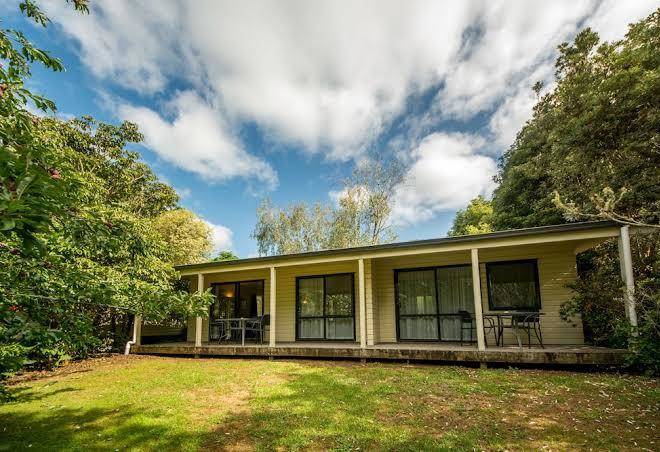 Kauri park motel