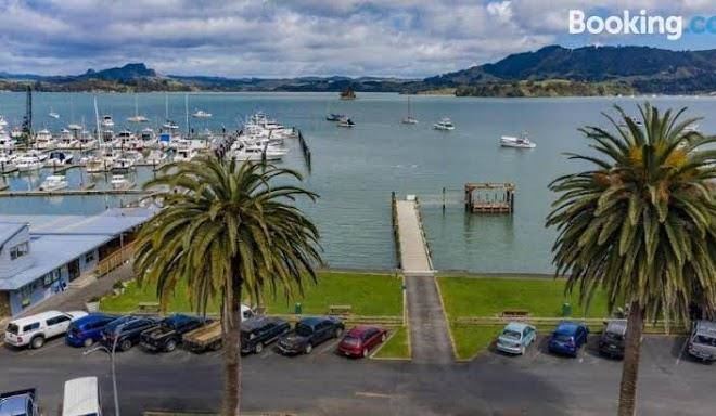 The marlin of whangaroa