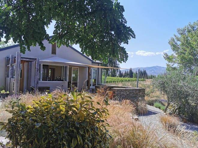 Grey ridge vineyard