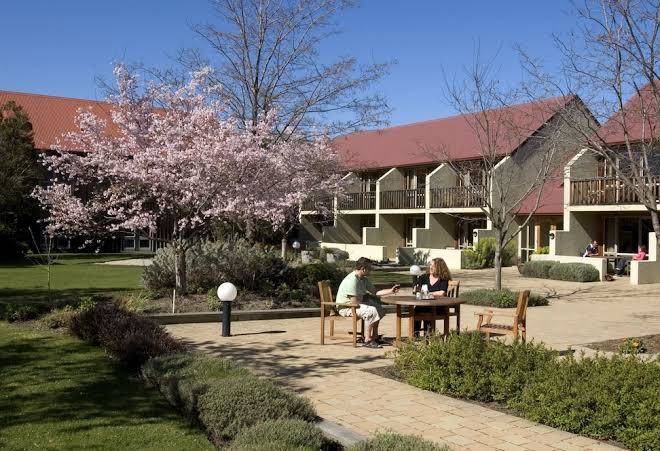 Harvest hotel Cromwell