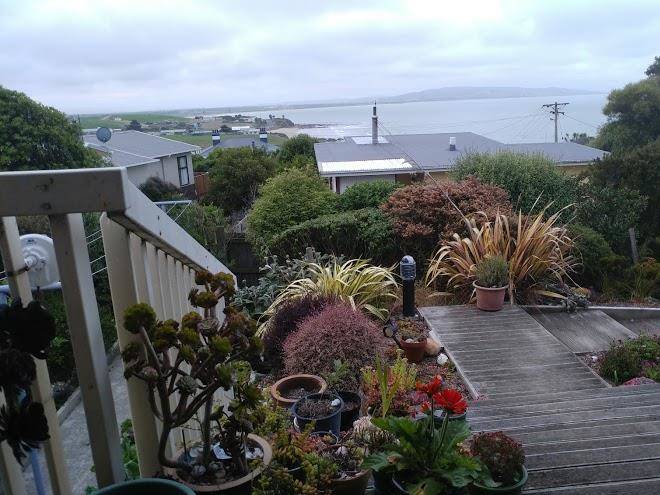 Catlins gallery and accommodation