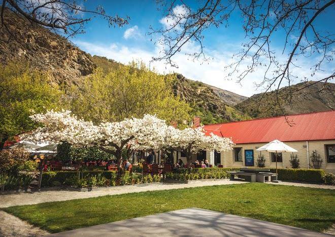 Gibbston valley winery & restaurant