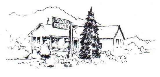 Hollys backpackers wanaka nz