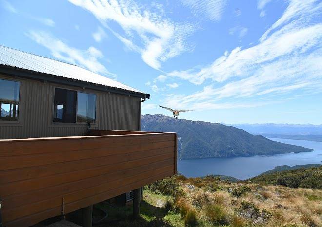 Luxmore hut