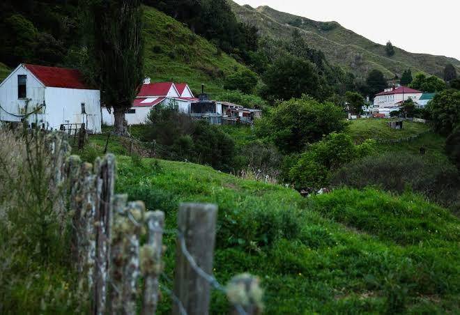 Whangamomona hotel