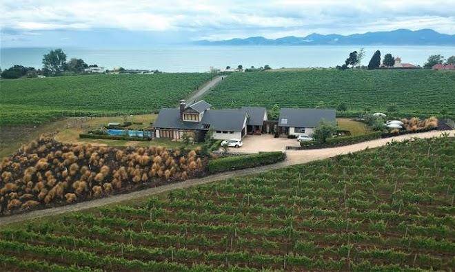 Pine hill lodge & pine hill serenity vineyard