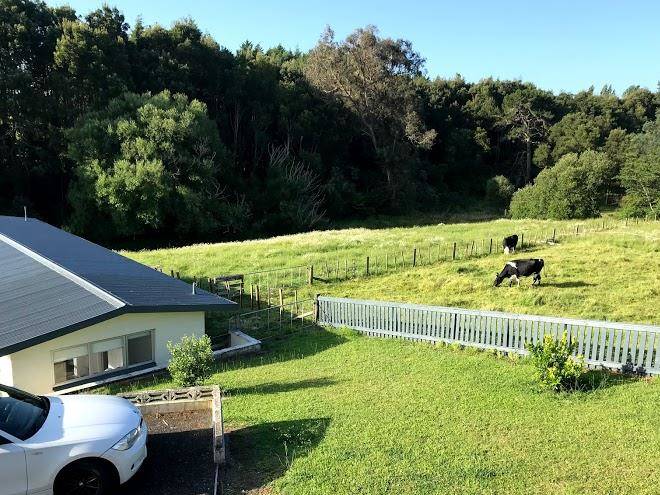Otorohanga and waitomo hotel