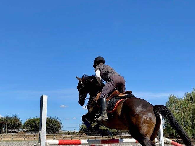 Unique equestrain lifestyle