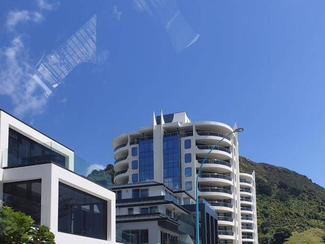 B and b on puriri