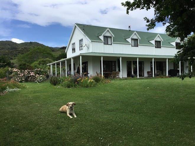 Jacaranda lodge