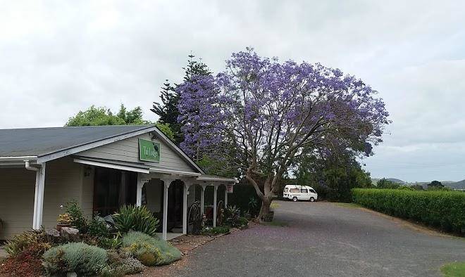Tui lodge bbh