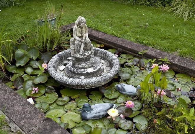 Highgate garden and b&b