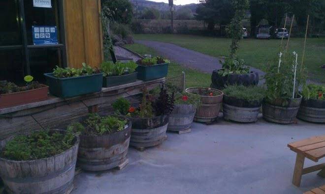 Taumarunui holiday park