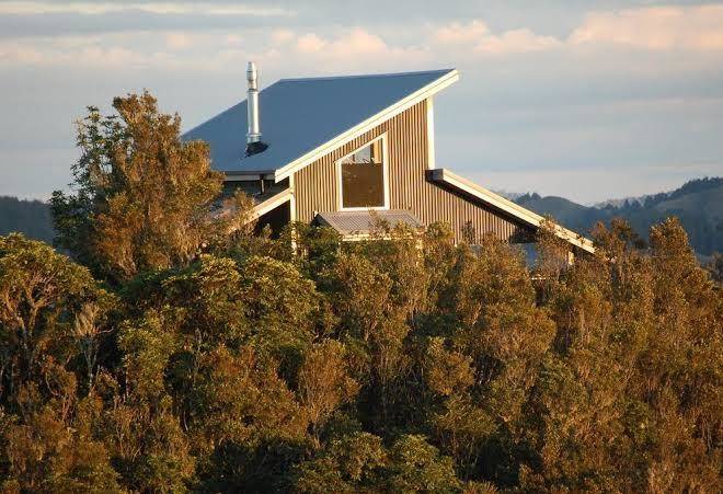 Wood pigeon lodge
