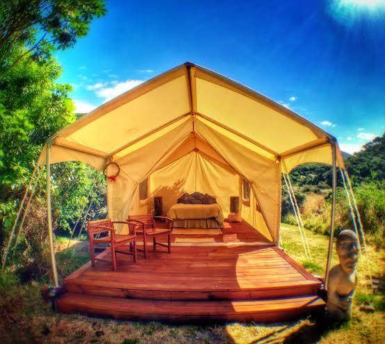 Kapiti island nature tours