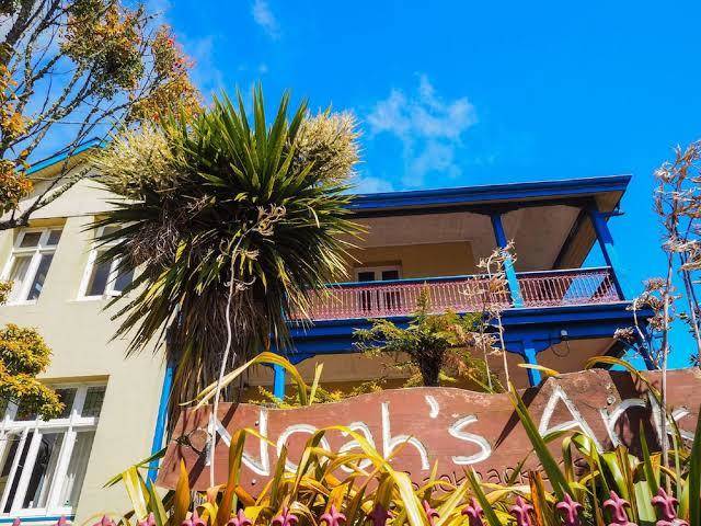 Noah's ark backpackers