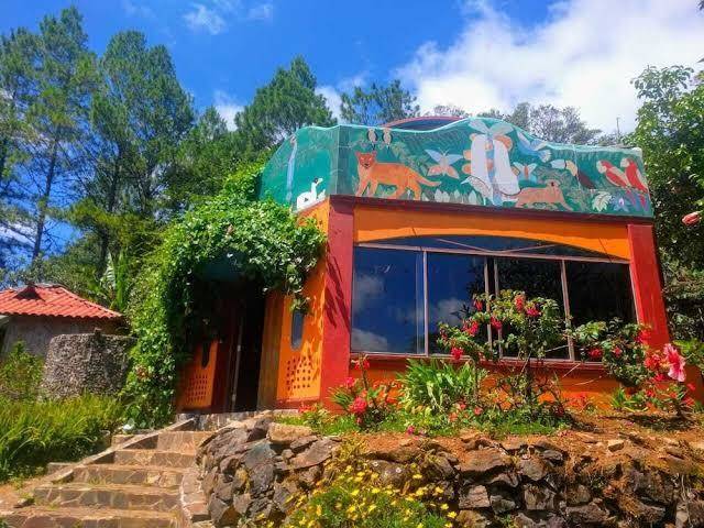 Finca neblina del bosque