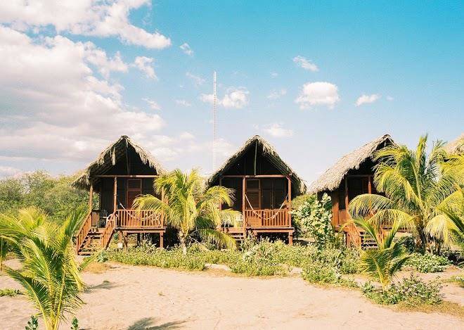 Surfing turtle lodge