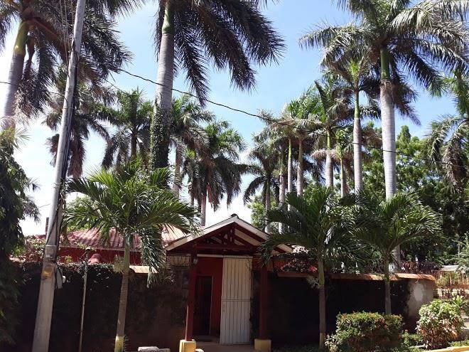 Hotel escuela palmeras resort
