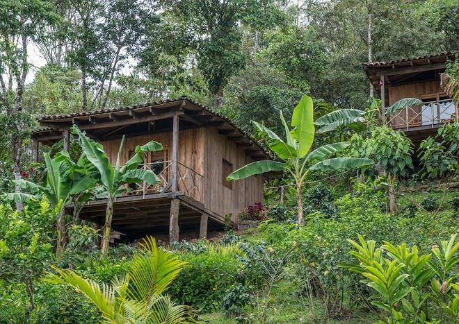Finca esperanza verde eco lodge coffee farm & nature retreat