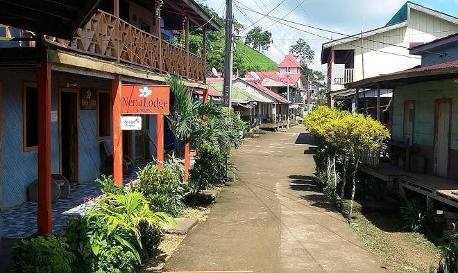 Nena lodge & tours