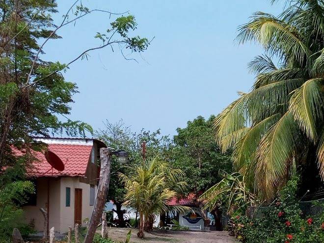 Exotic island