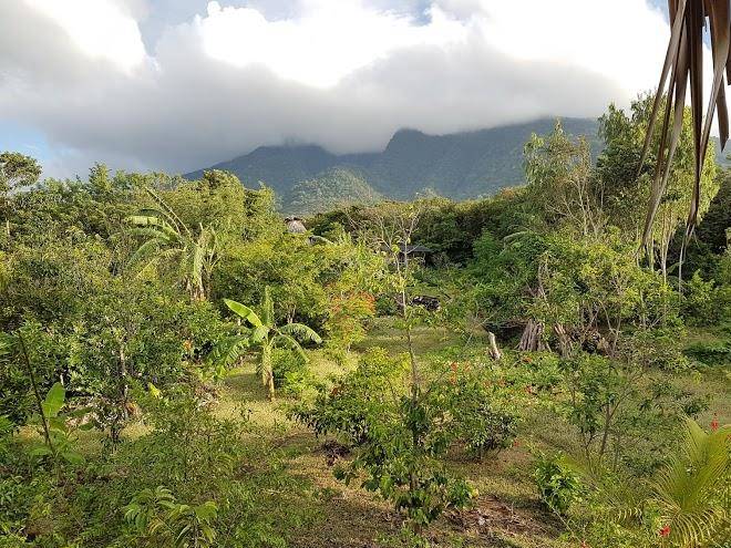 Finca la magia